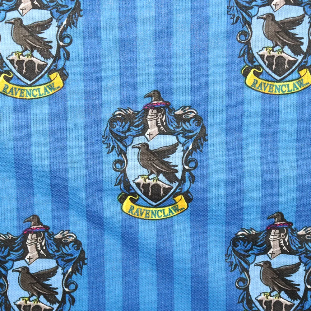 FS635_2 Harry Potter Ravenclaw