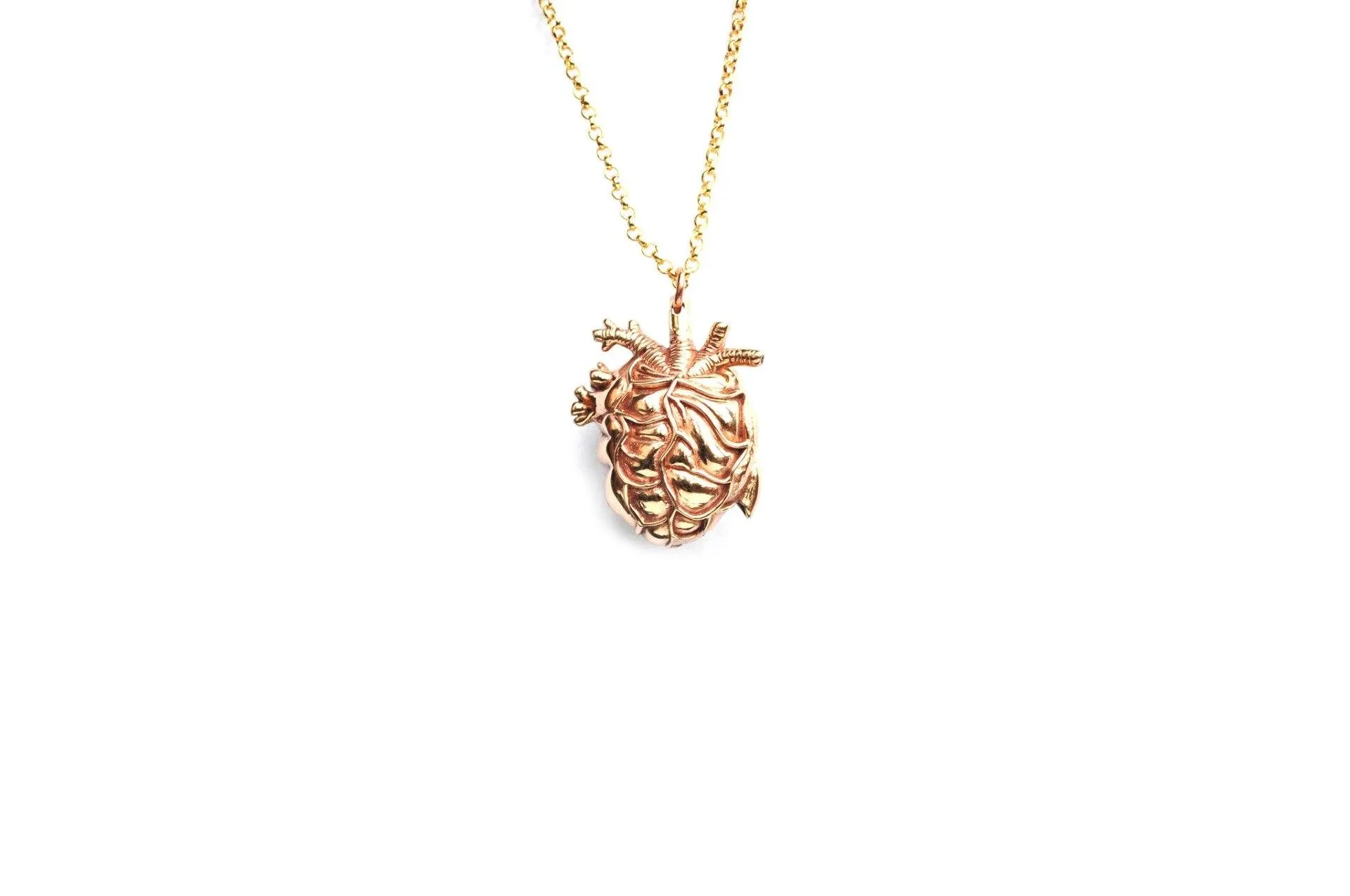 Mini Gold Anatomical Heart Locket & Pendant