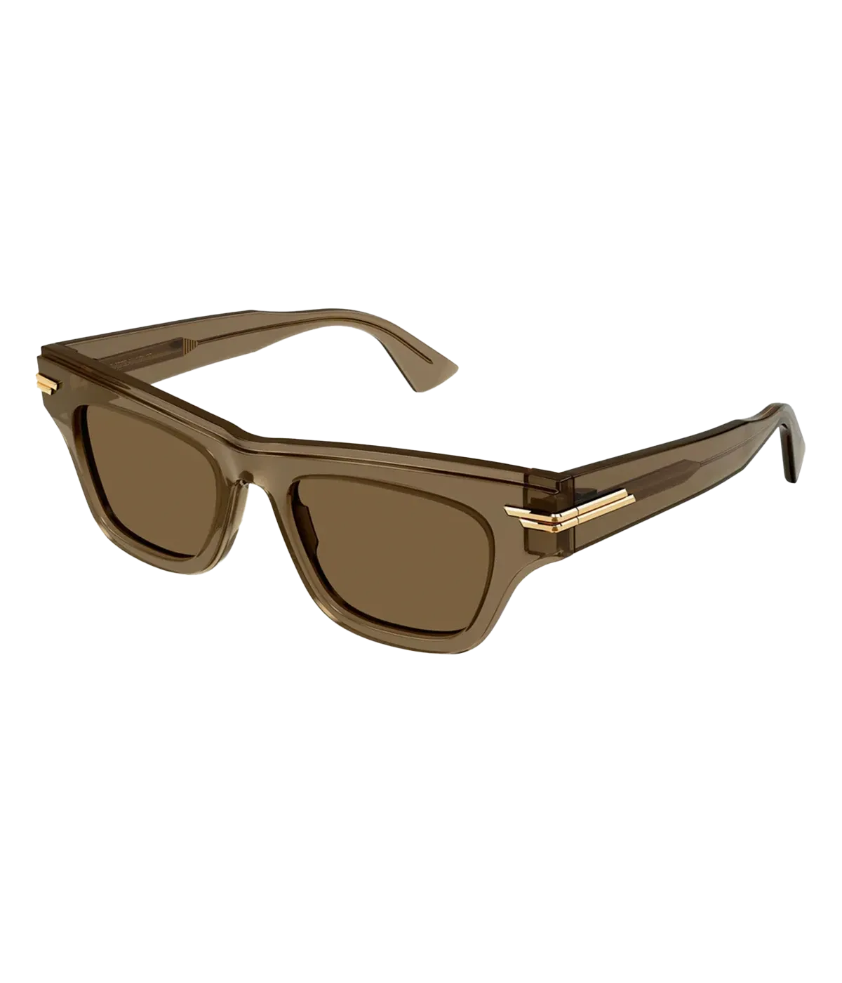 Wayfarer Sunglasses in Brown